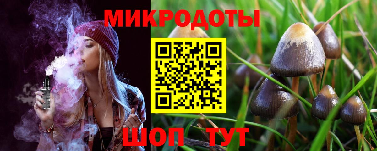 Псилоцибиновые грибы мухоморы Апатиты